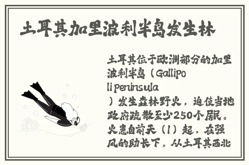 美国黄颜色程度10颗星
